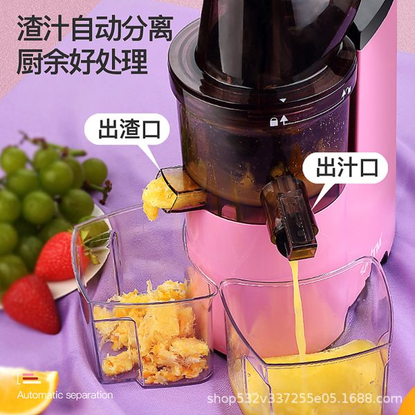 Slow Juicer (150 Watts)