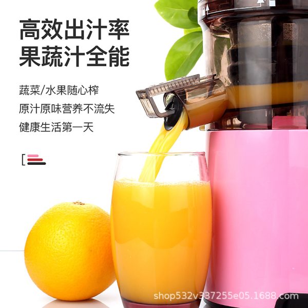 Slow Juicer (150 Watts)