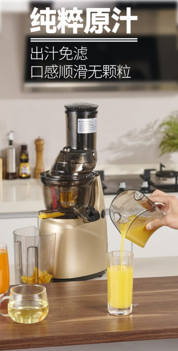 Mini Industrial Slow Juicer.